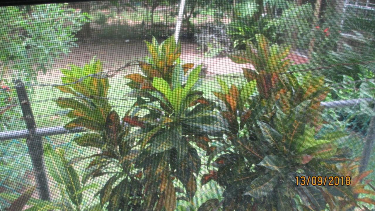 Tropical Breeze Vacation Home And Apartments グロス・アイレット エクステリア 写真