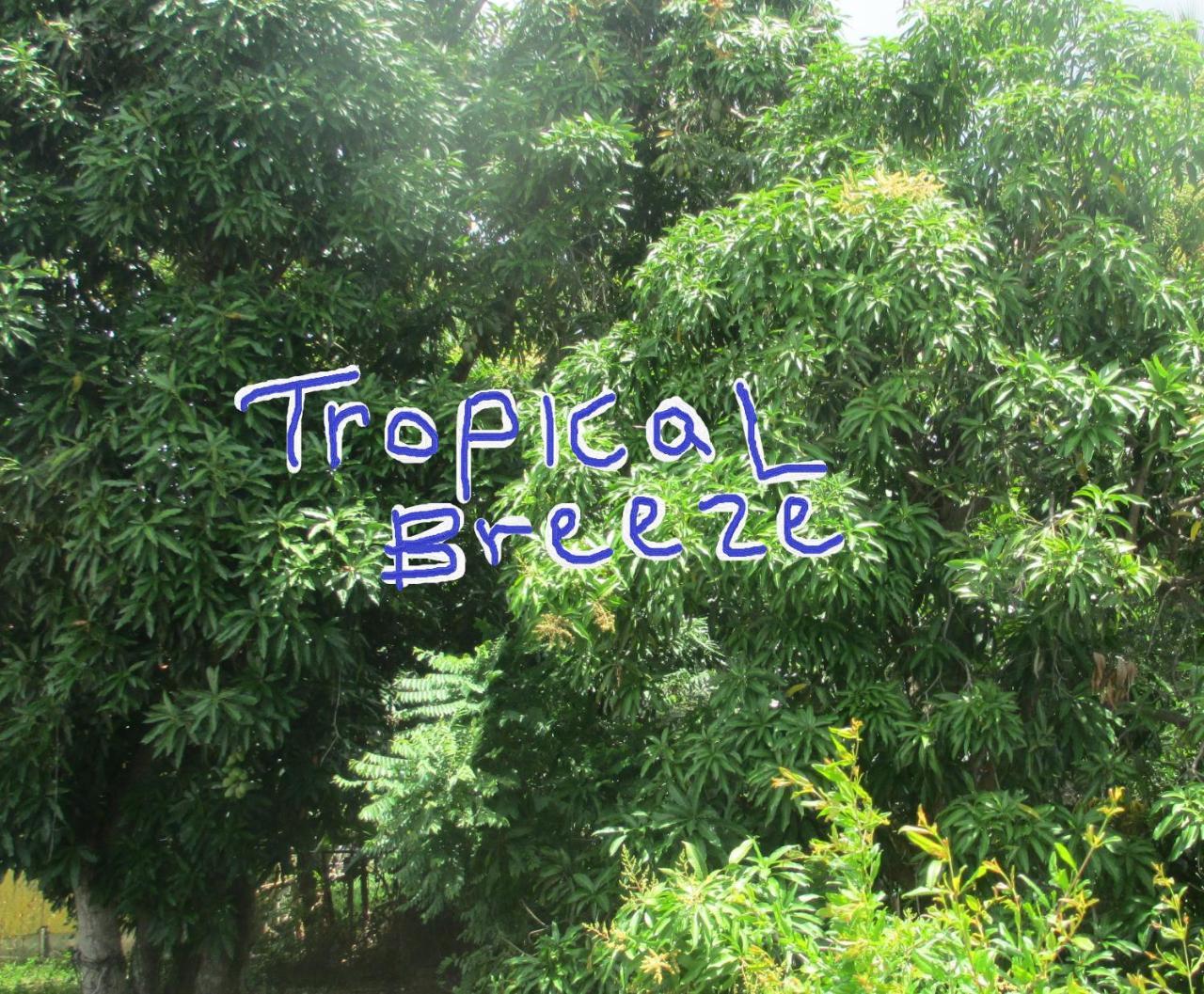 Tropical Breeze Vacation Home And Apartments グロス・アイレット エクステリア 写真