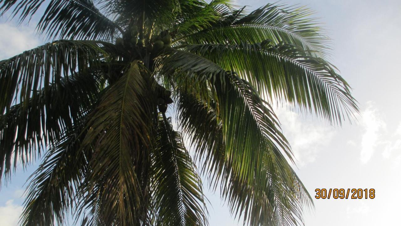 Tropical Breeze Vacation Home And Apartments グロス・アイレット エクステリア 写真